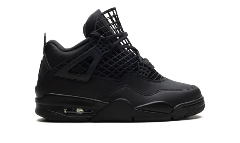 Air Jordan 4 Air Jordan 4 WMNS 'Net Black'